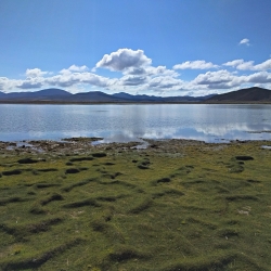 20170316_093025_hdr