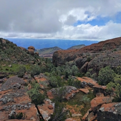 20170321_103112_hdr
