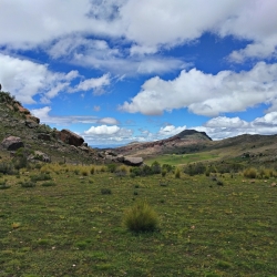20170321_124749_hdr