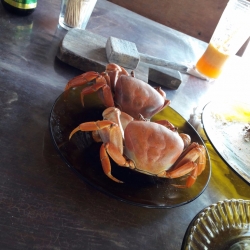 img-20161109-wa0033