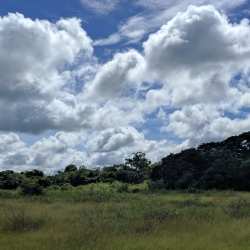 img_20170226_092243