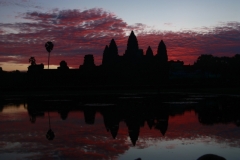 cambogia