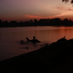 siem reap (16)