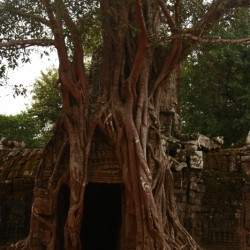siem reap (24)