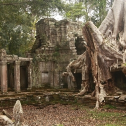 siem reap (26)