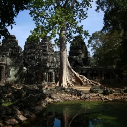 siem reap (4)