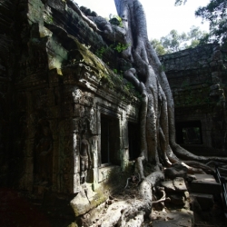 siem reap (5)