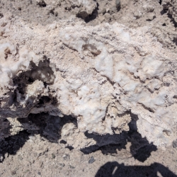 img_20170210_150309