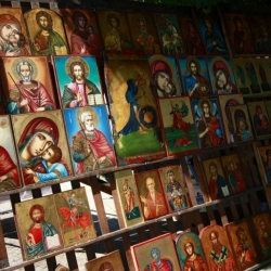 sofia (10)