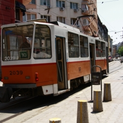 sofia (15)