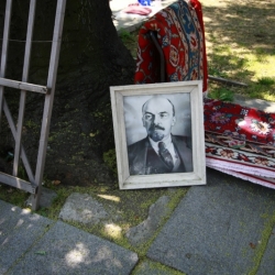 sofia (8)