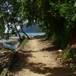 el nido (1)