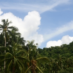 el nido (9)