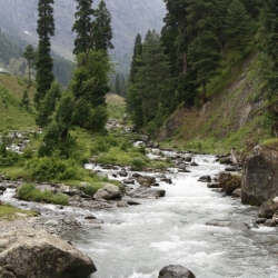 aru_kashmir (2)