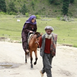 aru_kashmir (3)