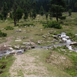 aru_kashmir (4)