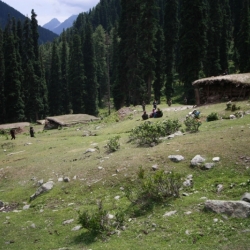 aru_kashmir (5)