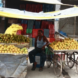 delhi (10)