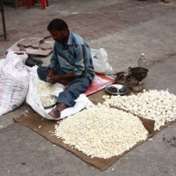 delhi (11)
