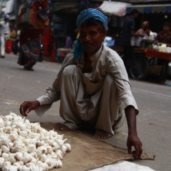 delhi (12)