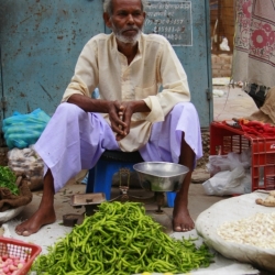 delhi (14)