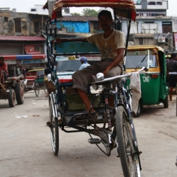 delhi (16)