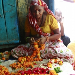 delhi (17)