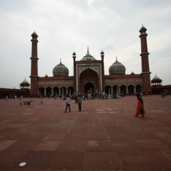 delhi (23)