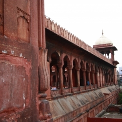 delhi (24)