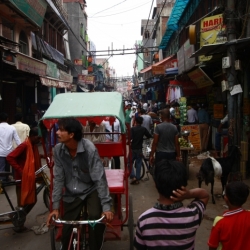 delhi (25)