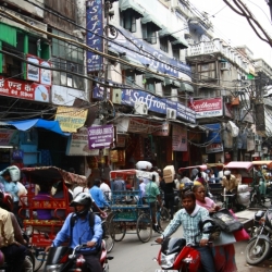 delhi (27)