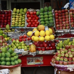 delhi (5)
