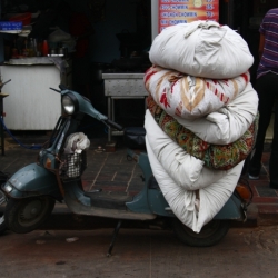 delhi (6)