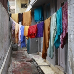 delhi (8)