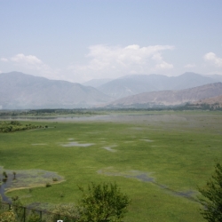 dintorni_srinagar_kashmir (1)