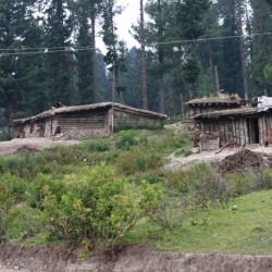 dintorni_srinagar_kashmir (5)