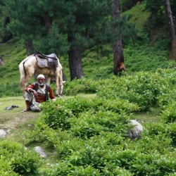 dintorni_srinagar_kashmir (6)