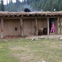 dintorni_srinagar_kashmir (8)