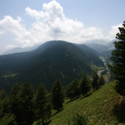 gulmarg_kashmir (1)