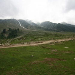 gulmarg_kashmir (2)
