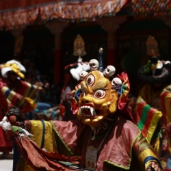 hemis_ladakh (10)