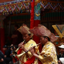 hemis_ladakh (11)