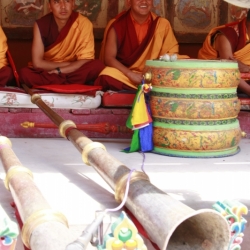 hemis_ladakh (12)