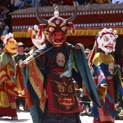 hemis_ladakh (13)