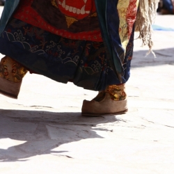 hemis_ladakh (14)