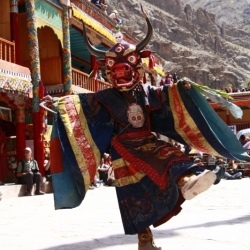 hemis_ladakh (15)