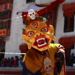 hemis_ladakh (16)