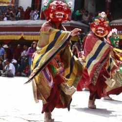 hemis_ladakh (18)