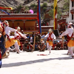 hemis_ladakh (19)
