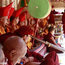 hemis_ladakh (20)